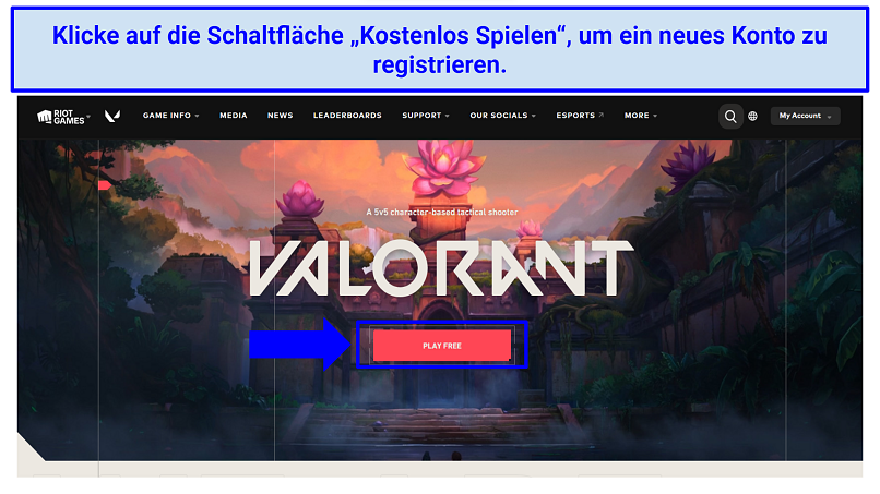 Screenshot of Valorant's Signup Page