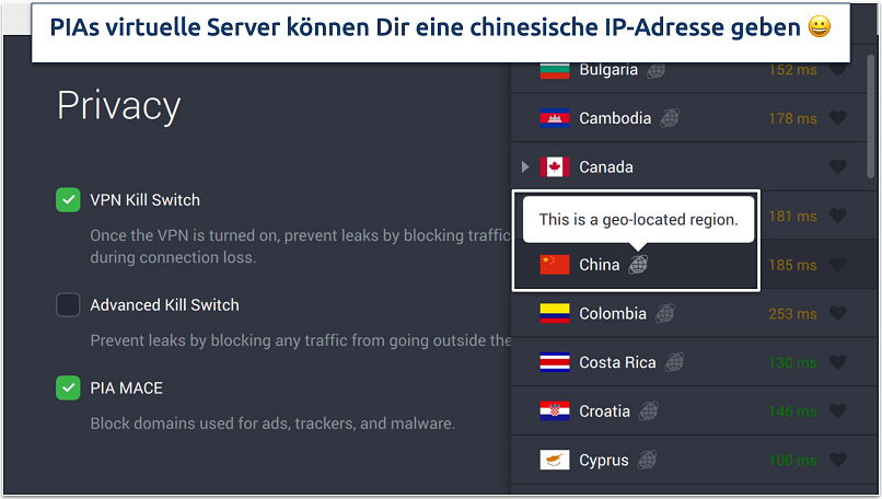 Screenshot of PIA's privacy settings and virtual servers in the app