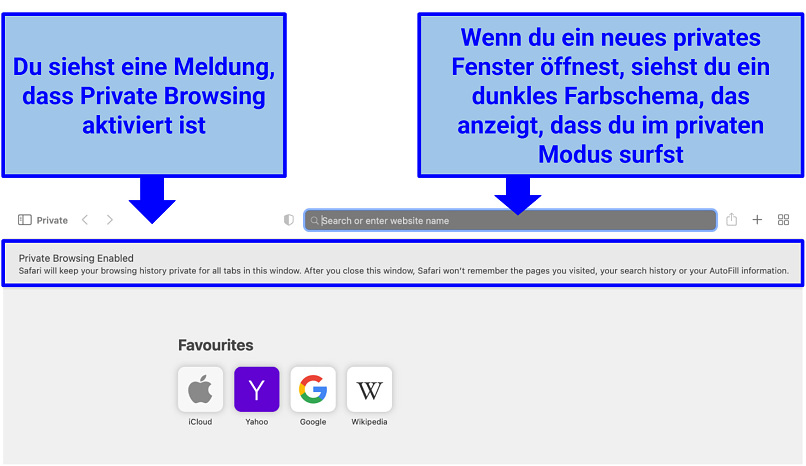 Screenshot of Private Browsing Mode on Safari (MacBook)