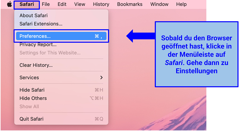 A screenshot of the Safari's Preferences